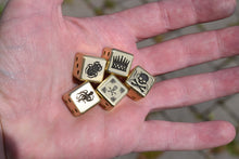Load image into Gallery viewer, D6 Dice (1)